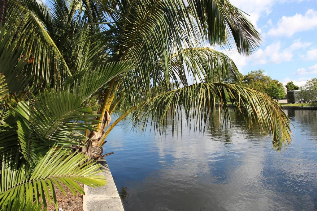 The Cabanas Guesthouse & Spa - Gay Resort Catering To Gay Men Oakland Park Exteriör bild